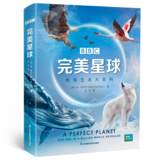 文章附图